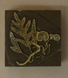 Click for more details.